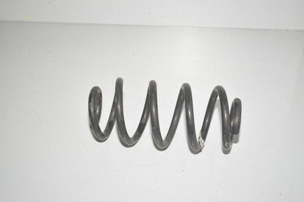 Rear coil spring 6872297