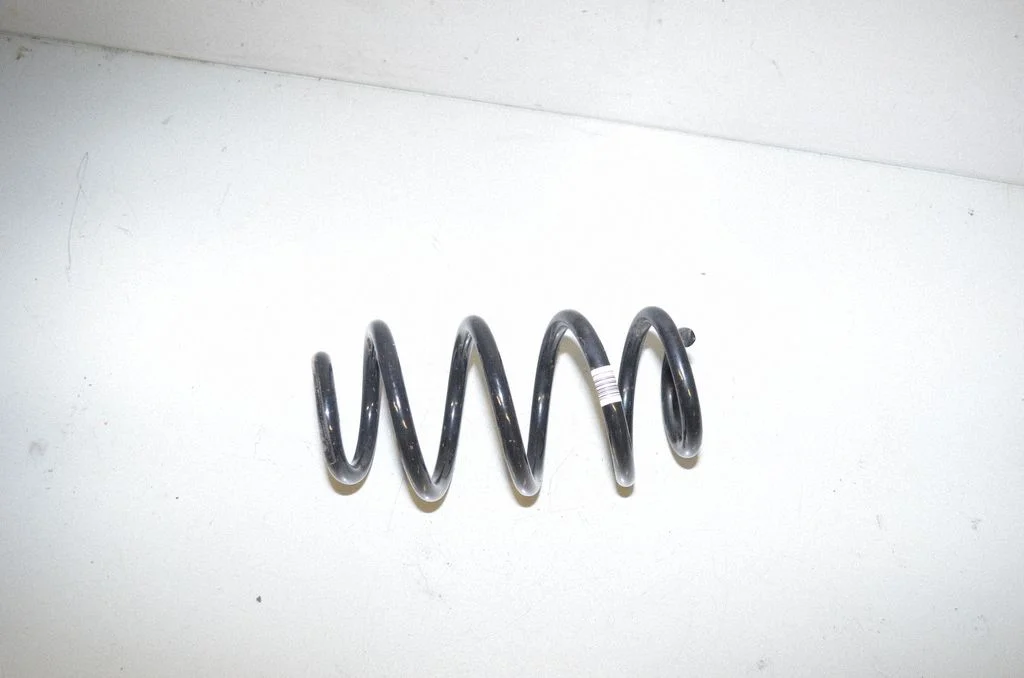 Rear coil spring 6892119