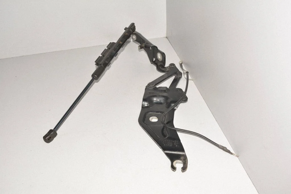 Motora pārsega eņģe (-es) – BMW X5 E70 (2006-2013)