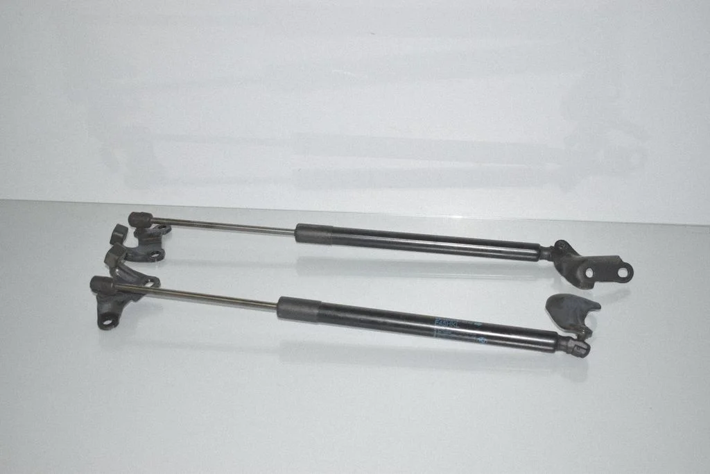 Tagaluugi gaasiamortisaator 7300791