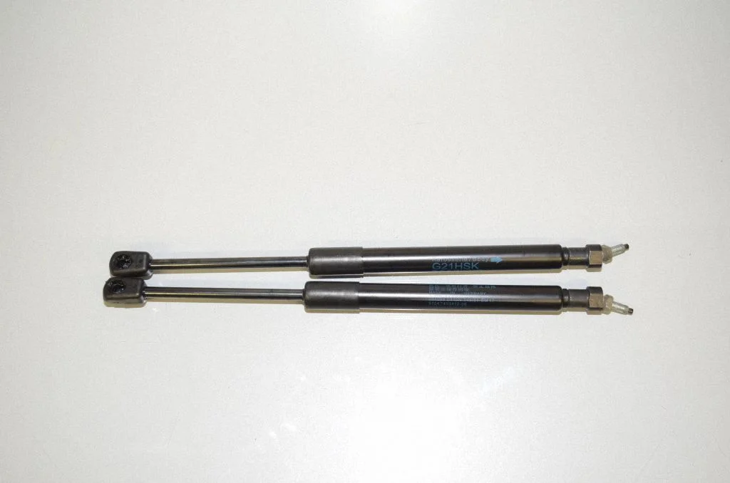 Tailgate/trunk strut/damper 7453412