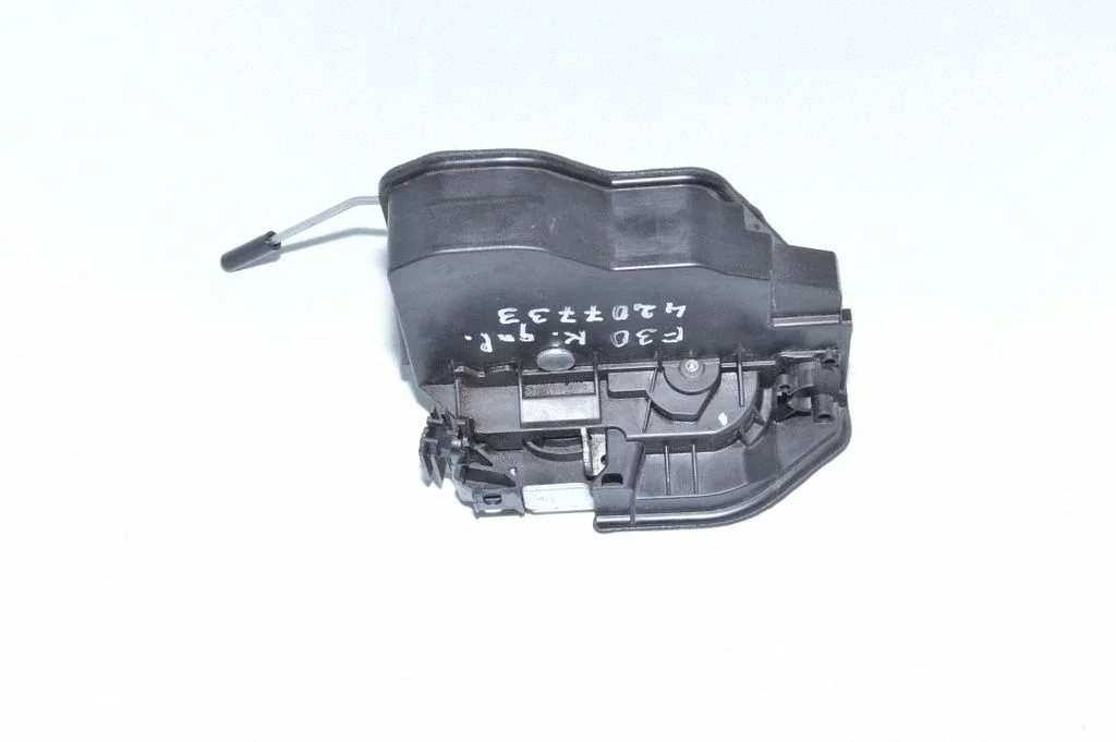 Rear door lock 7202147