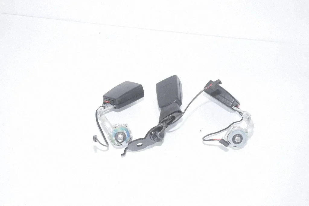 Rear seatbelt buckle 7243273