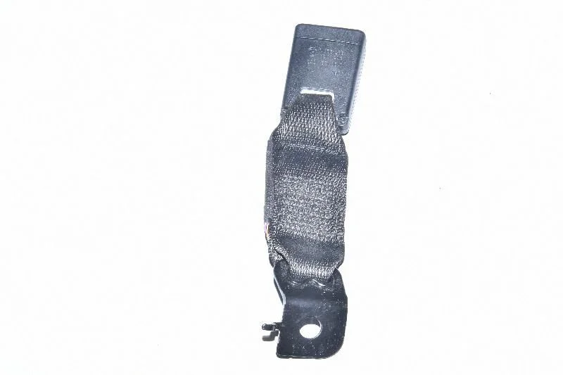 Rear seatbelt buckle – left