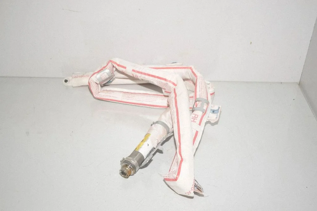 Roof airbag 7301296