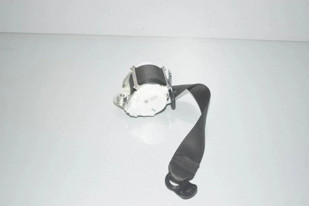 Rear seatbelt 7305643