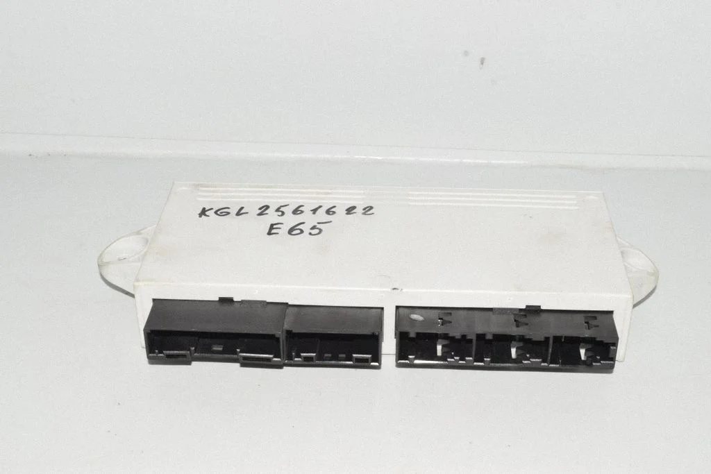 Durų elektronikos valdymo blokas