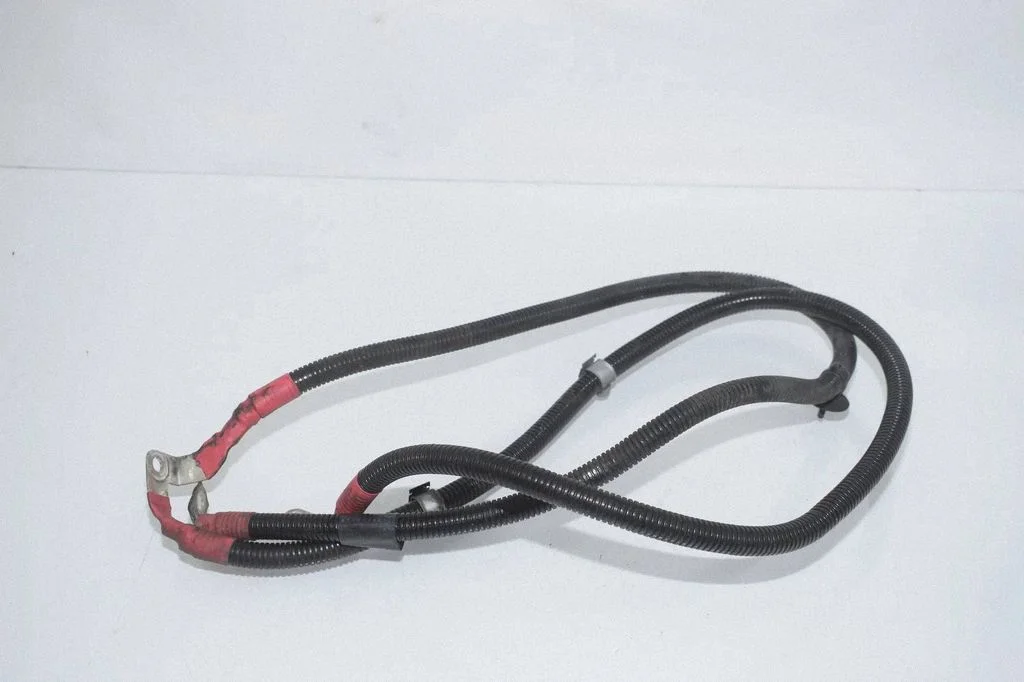 Positive cable (battery) 7800164