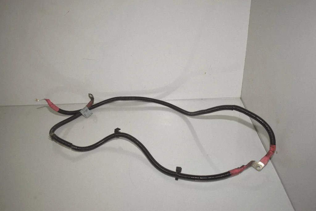 Positive cable (battery) 7800164