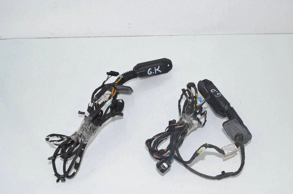 Rear door wiring loom 9256017