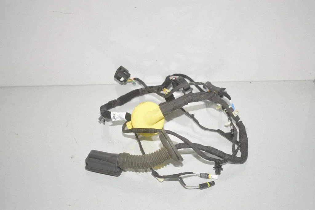 Rear door wiring loom 5A54F17