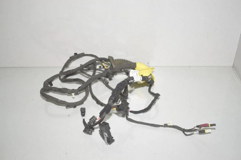 Rear door wiring loom 5A54EF7