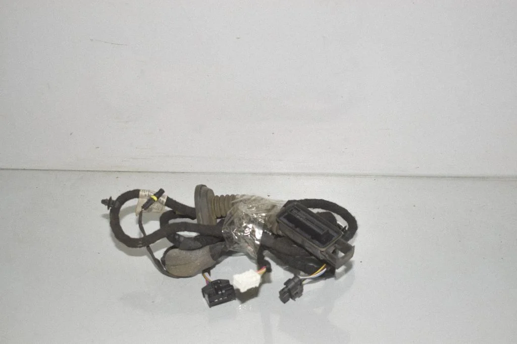 Rear door wiring loom 5A0C088