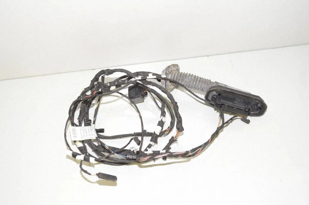 Rear door wiring loom 9256017
