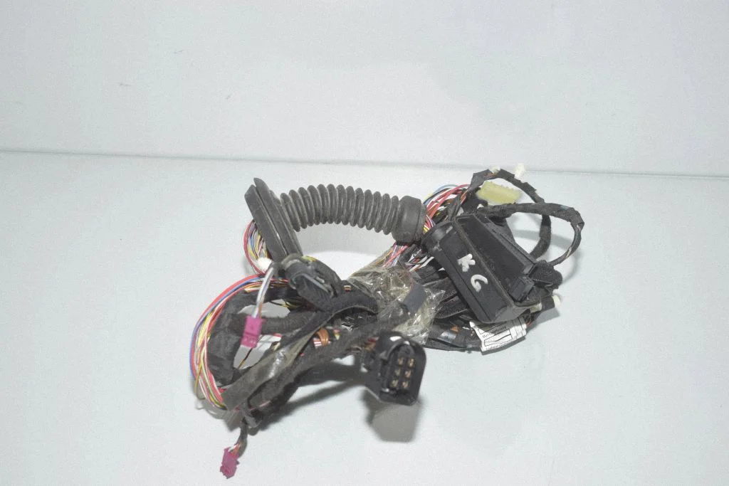 Rear door wiring loom 2876756