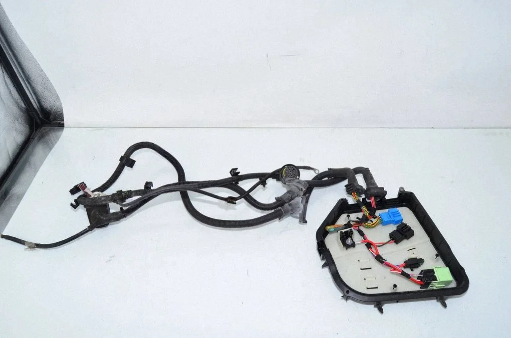 Engine installation wiring loom