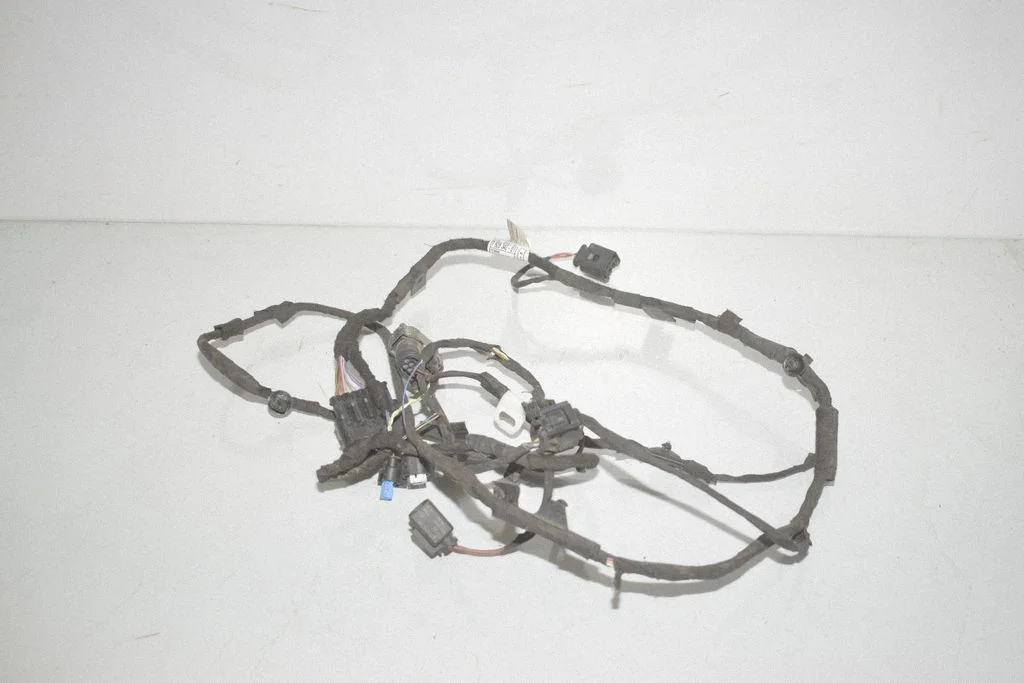 Other wiring loom 7928342