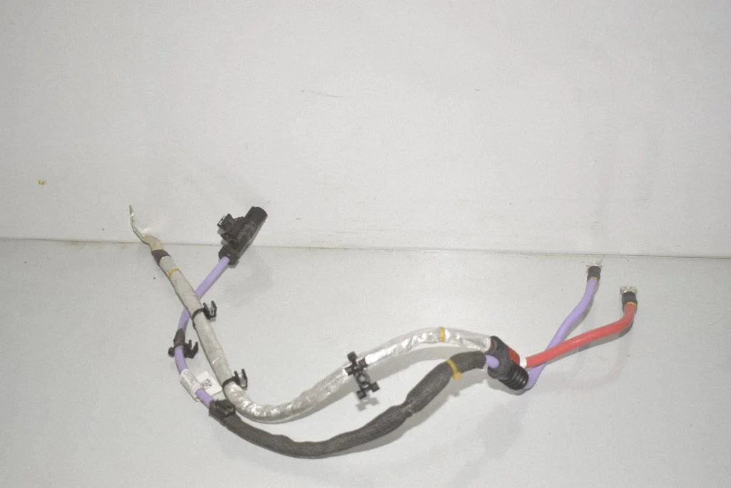 Other wiring loom 712061604B