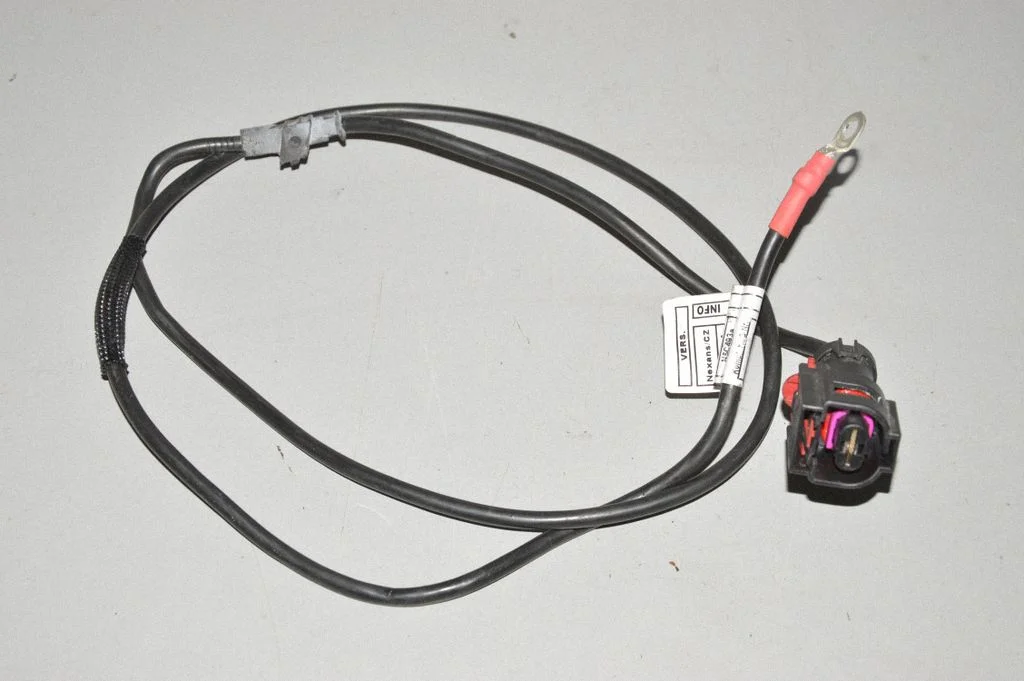 Other wiring loom
