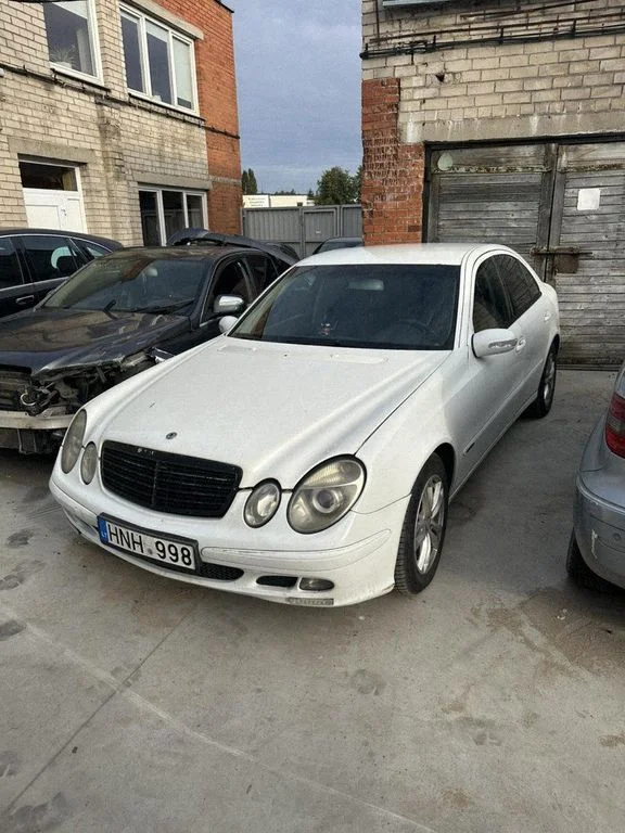 Mercedes-Benz E-class, AMG (W124, W210, W211, W212, W213, C207, W238)