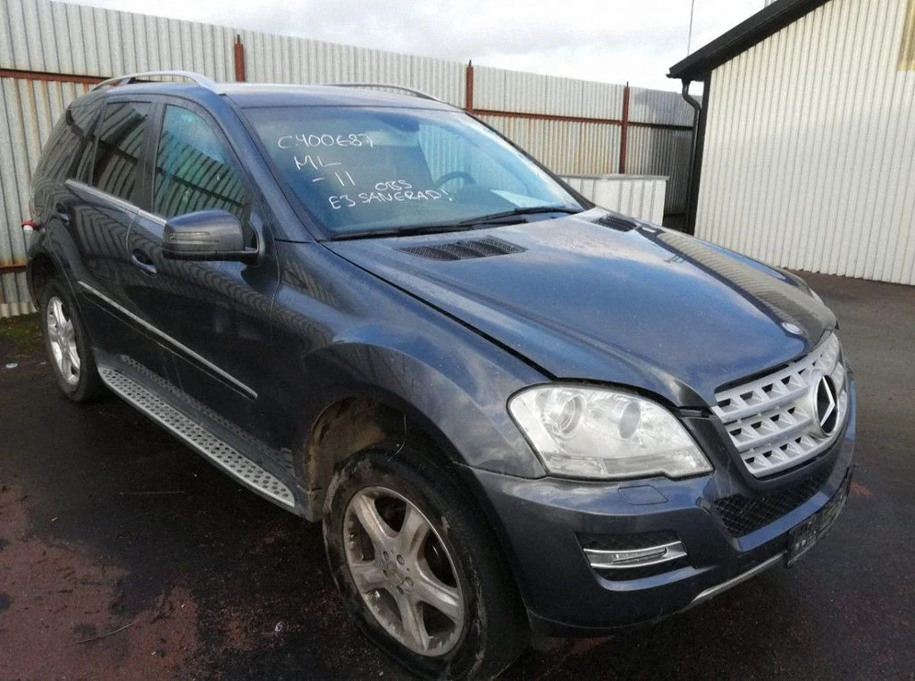Mercedes-Benz ML-class, AMG (W163, W164, W166)