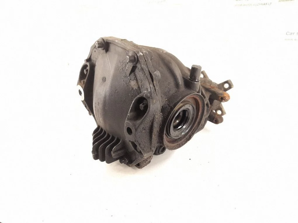 Rear differential 2193501000