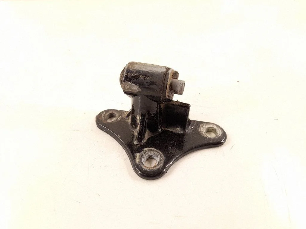 Front door lower hinge 2517201537