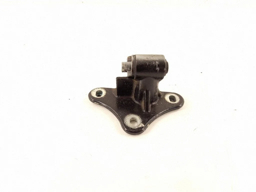 Front door lower hinge 2517201637