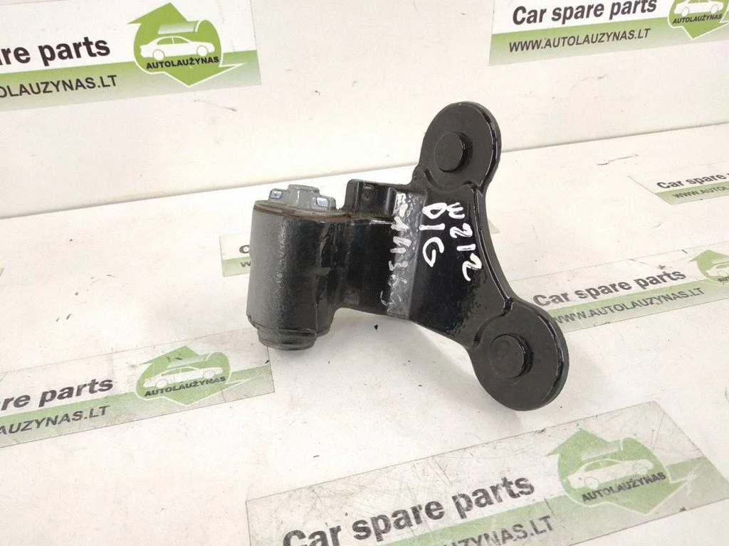 Rear door lower hinge DALISID2160