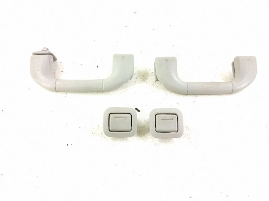 Front interior roof grab handle 2048100051