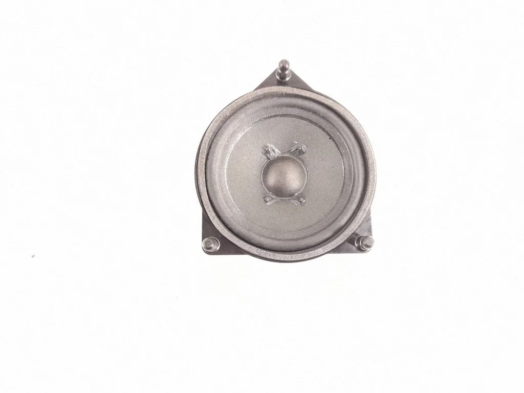 Front door speaker 2228203902