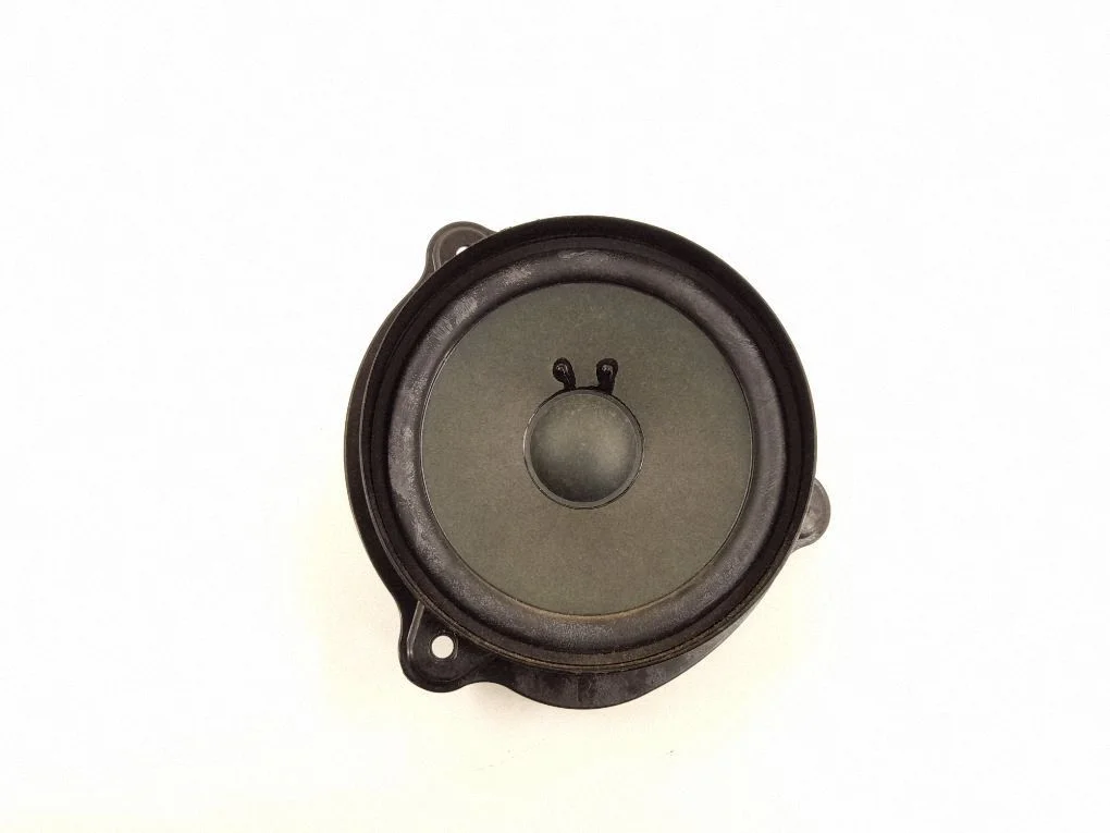 Front door speaker 2198200502