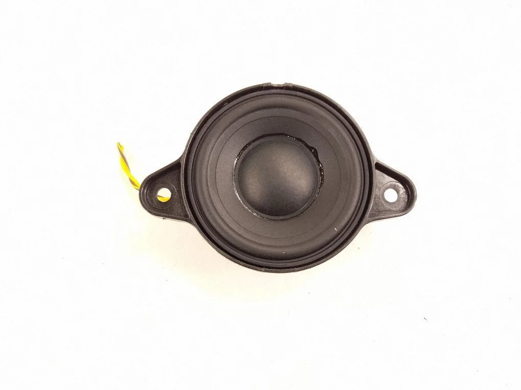 Rear door speaker A2048205902