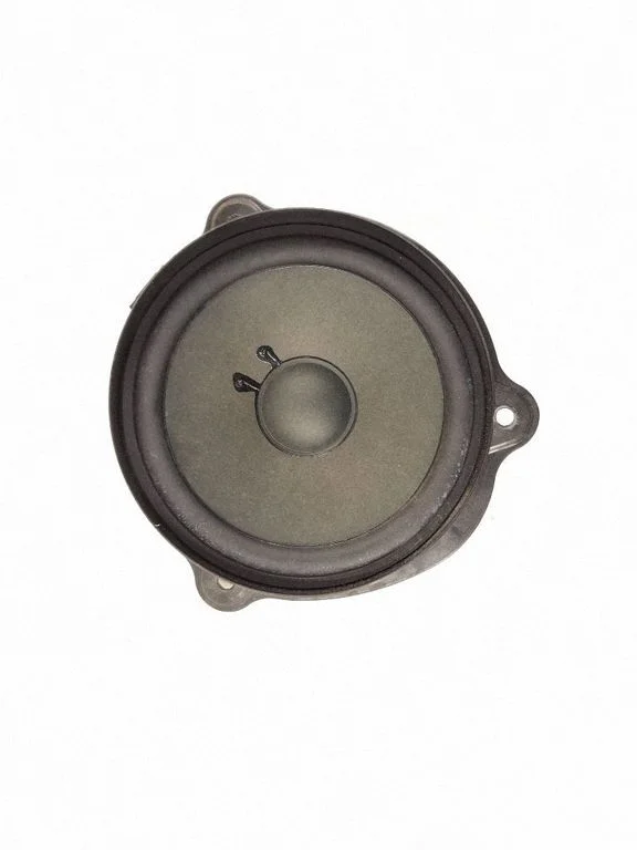 Rear door speaker 2198200402