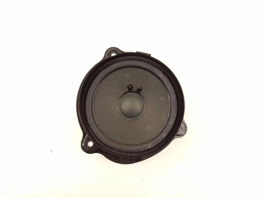 Rear door speaker 2198200502