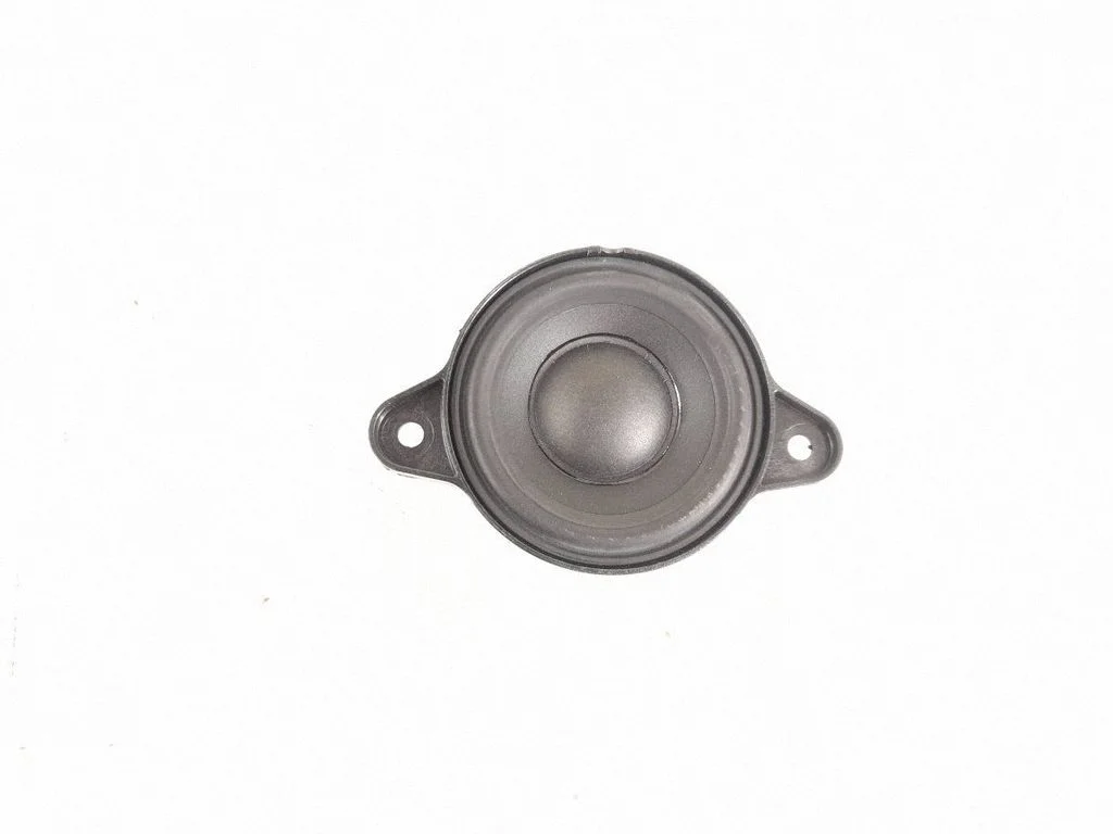 Rear door speaker A2048205902