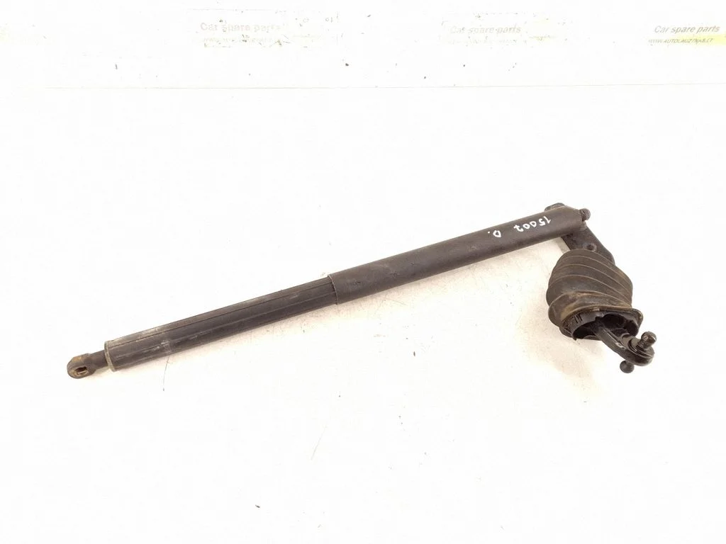 Tailgate strut 1647400445