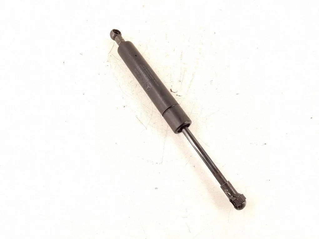 Tailgate strut 2517400045