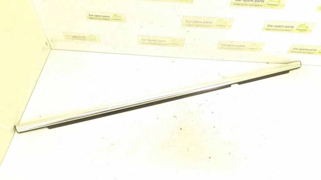 Rear door glass trim molding 2516905080