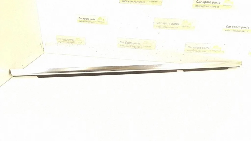 Rear door glass trim molding 2516904880