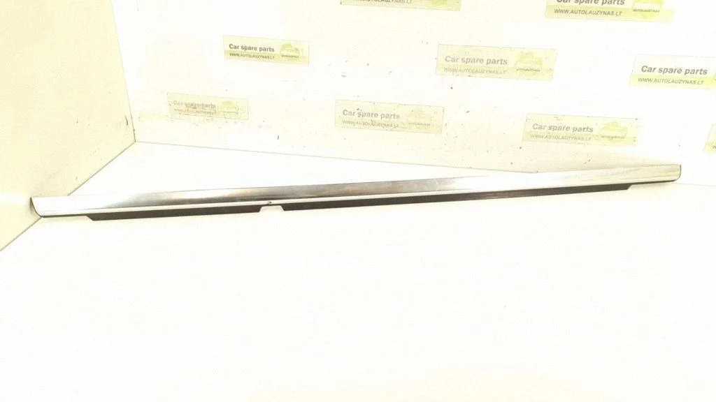 Rear door glass trim molding 2516904780