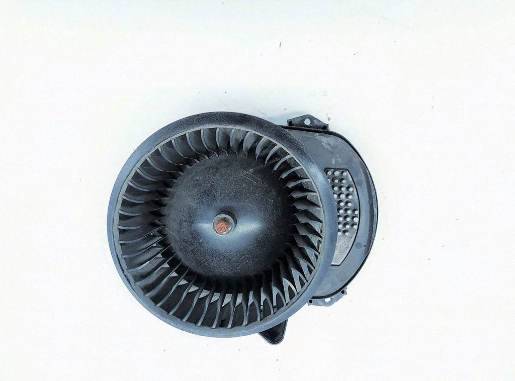 Salongipuhur