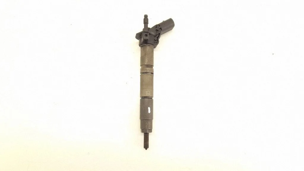 Fuel injector 6420700587
