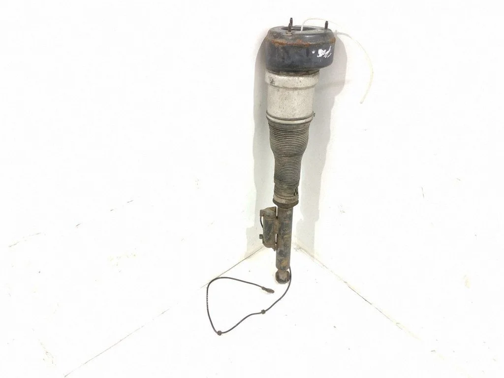Rear shock absorber/damper – rear left