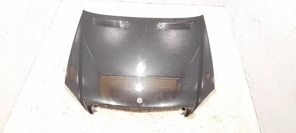 Engine bonnet/hood