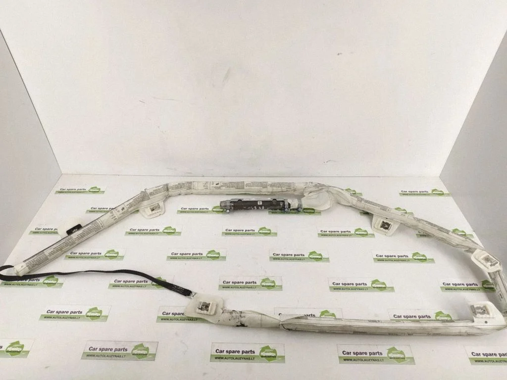 Roof airbag DALISID2225