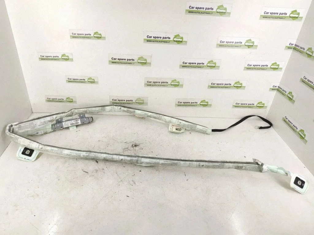 Roof airbag DALISID1182