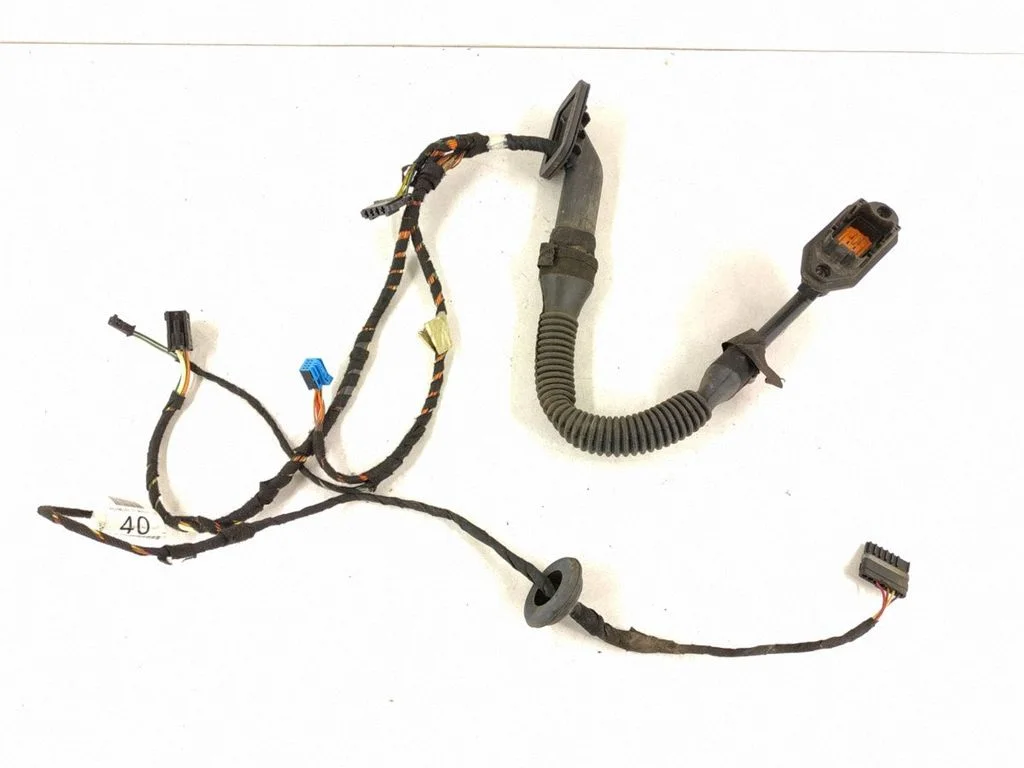 Front door wiring loom A0009983802
