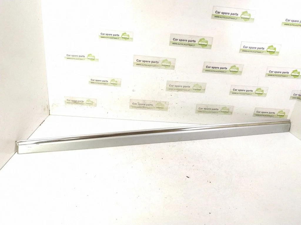 Front door trim (molding) – front left