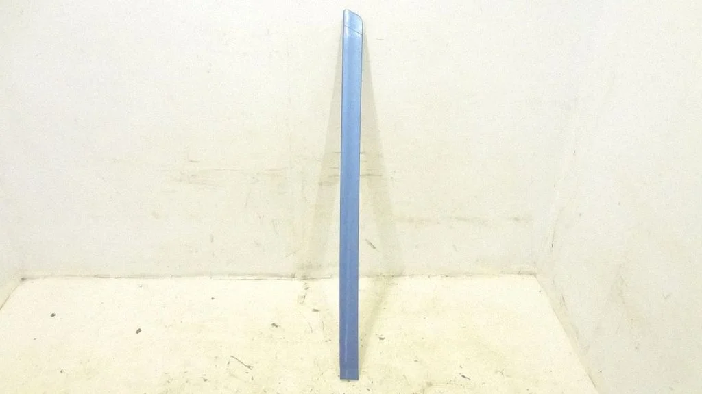Rear door trim (molding) – rear left